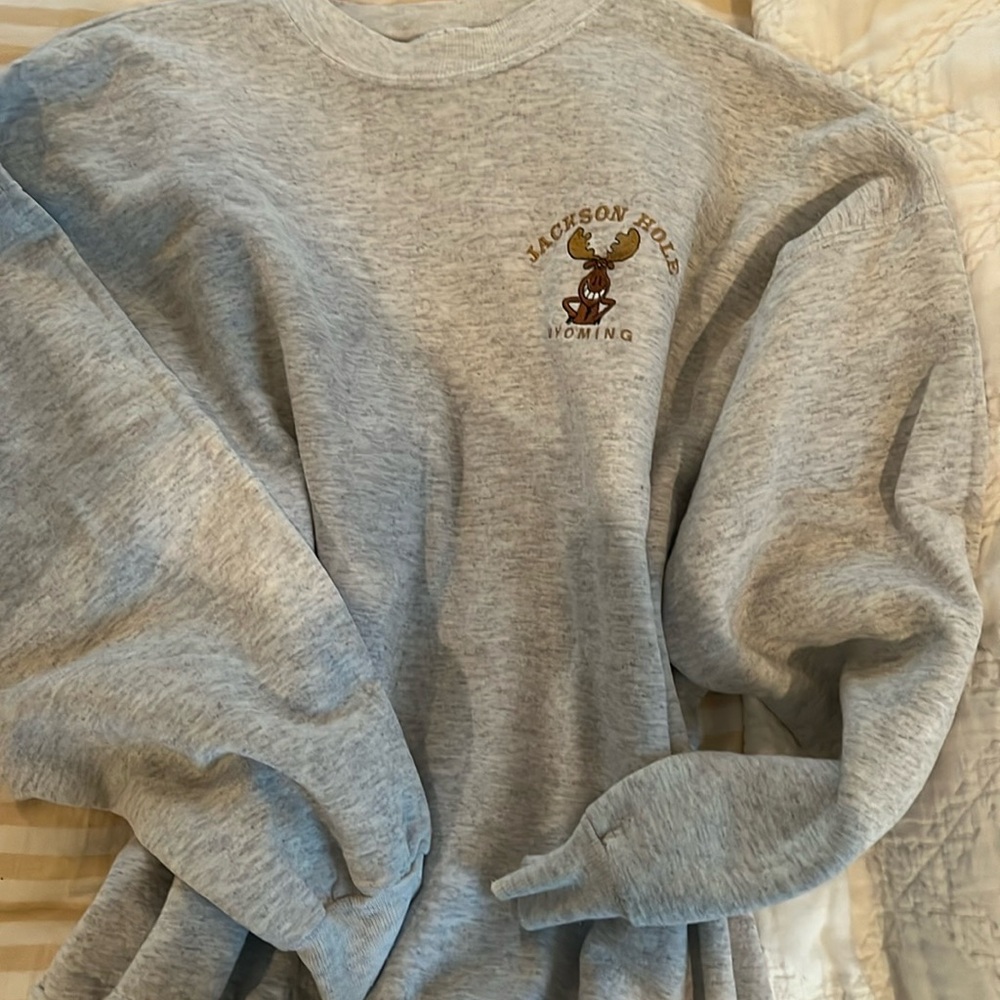 Jackson Hole.  Sweatshirt.   So fun.  Adult XL